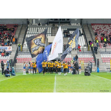 Mannschaft läuft in Begleitung großer bedruckter Teamfahnen auf das Spielfeld