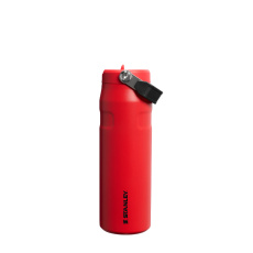 Die IceFlow Bottle Flip Straw 2.0 0,7L / 24oz