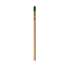 Ungespitzter, pflanzbarer Bleistift - EN / Sprout