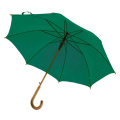 Regenschirm, automatisch | Hayden, grün