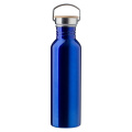 Sportflasche 700 ml, blau