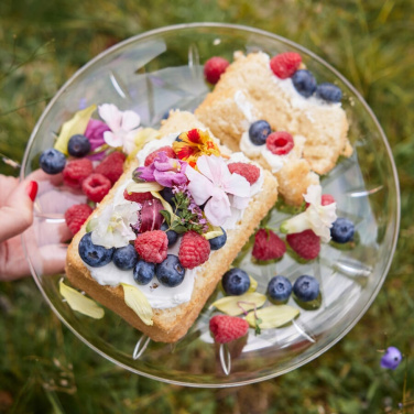 Sagaform Picknick-Tellerchen 4er-Pack, Transparent, Produktbild (3)