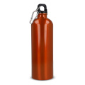 R-Edelstahl einwandige Flasche mit Karabiner 750 ml, Orange