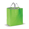 Große Kühltasche aus Non Woven 32.5 x 19.5 x 39 cm, 100 g/m², Hellgrün