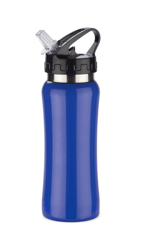 Stahlflasche PATRO 600 ml, Produktbild