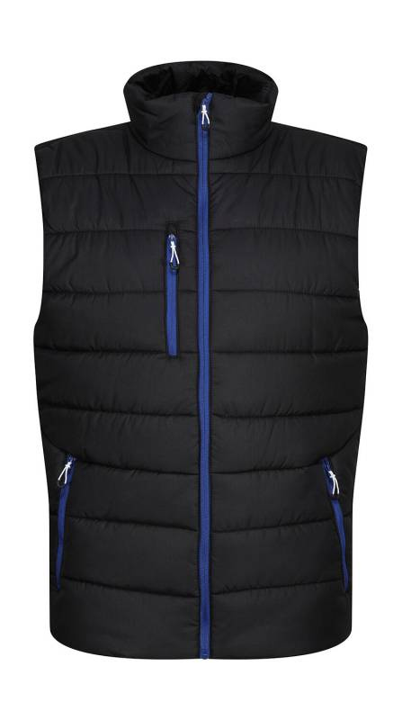 Navigate Thermo-Bodywarmer für Herren, Schwarz/Neues Königsblau – Regatta Professional (1)
