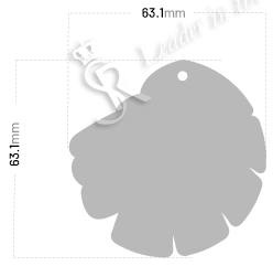Weicher Reflektor – Löwe 5 | Softreflector – 1