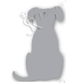 Weicher Reflektor – Hund 11 | Softreflector – 3