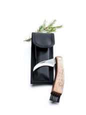 Pilzmesser im Koffer