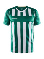 Progress 2.0 Stripe – Trikot (Herren), Team Grün/Weiß