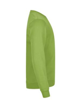 Basic – Sweatshirt mit Rundhalsausschnitt, hellgrün - Clique (2)