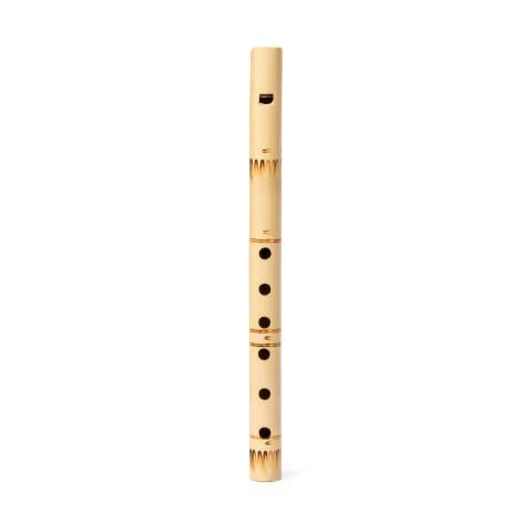 Recorder Hamelin – Makito (1)