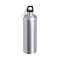 Flasche Glaxon, Silber