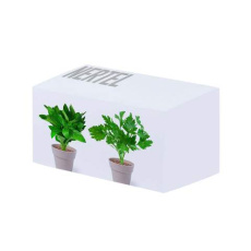Blumentopf-Set Nertel