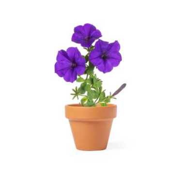 Blumentopf Soltax – Makito (2)