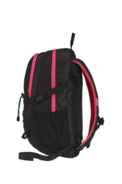 Active Line Tagesrucksack, Schwarz/Rosa – Derby of Sweden (3)