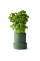 CrushGrind Billund Kräutertopf, PARSLEY