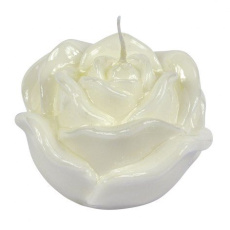 Kerze weiße Rose glänzend