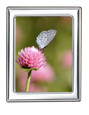 Bilderrahmen „Olivia“ – Foto 130 × 180 mm, Produktbild