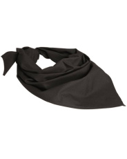 BW Dreieckstuch Original Schwarz Nach Tl