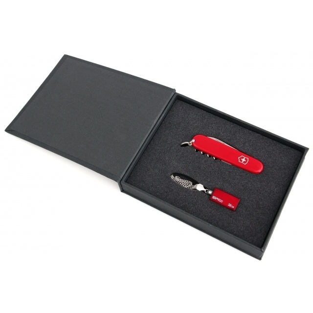 Logo trade business gift photo of: Giftset in red colour  8GB	color red