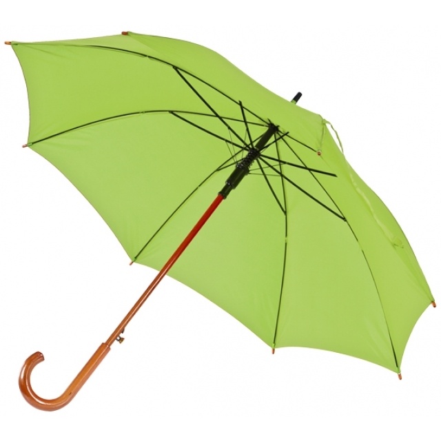 Logo trade promotional merchandise image of: Wooden automatic umbrella NANCY  color light green