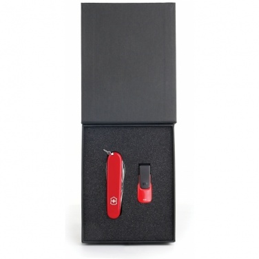 Logotrade corporate gift picture of: Gift set   8GB color red