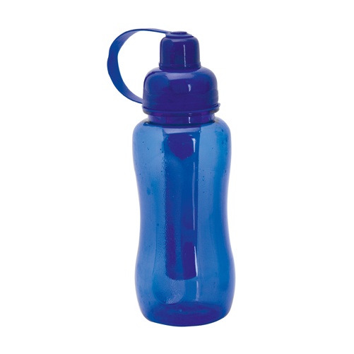 Logo trade corporate gifts picture of: sport bottle AP791796-06 blue