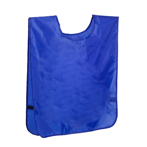 Logotrade promotional merchandise photo of: adult jersey AP731820-06 blue