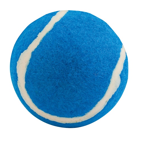 Logo trade promotional item photo of: ball for dogs AP731417-06 blue