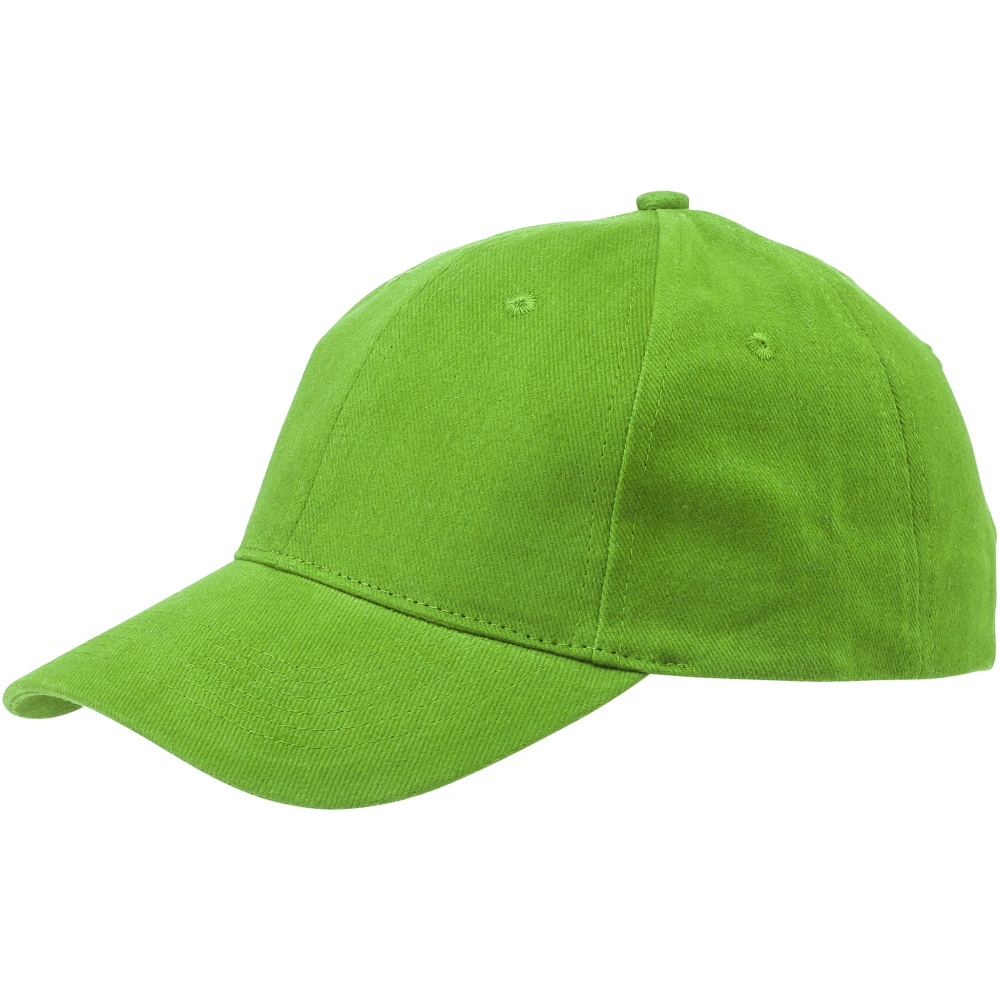 Logotrade promotional merchandise photo of: Bryson 6 panel cap, light green