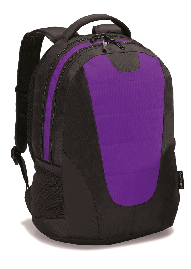 Logo trade promotional item photo of: COLORISSIMO LAPTOP  BACKPACK 14’, purple