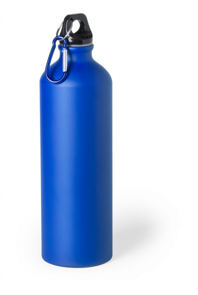 Logotrade promotional giveaways photo of: Delby bottle 800 ml, blue