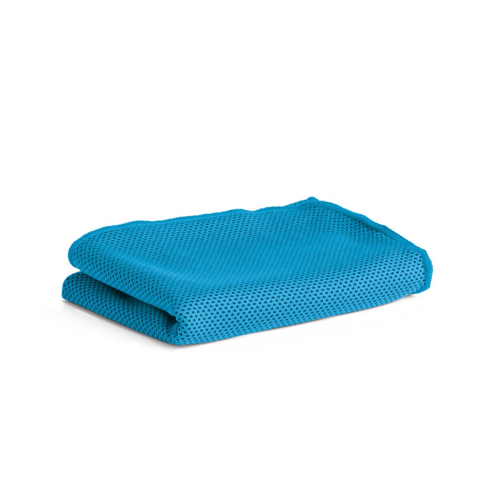 Logotrade promotional merchandise photo of: ARTX. Gym towel, Blue