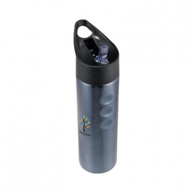 Logotrade business gift image of: Trixie stainless sports bottle, titanium
