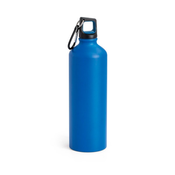 Logotrade promotional merchandise image of: Sports bottle 800 ml, blue