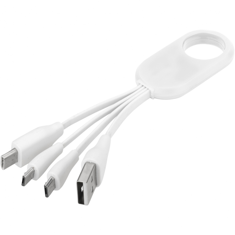 Logotrade promotional merchandise photo of: Troup 4-in-1 charging cable with type-C tip