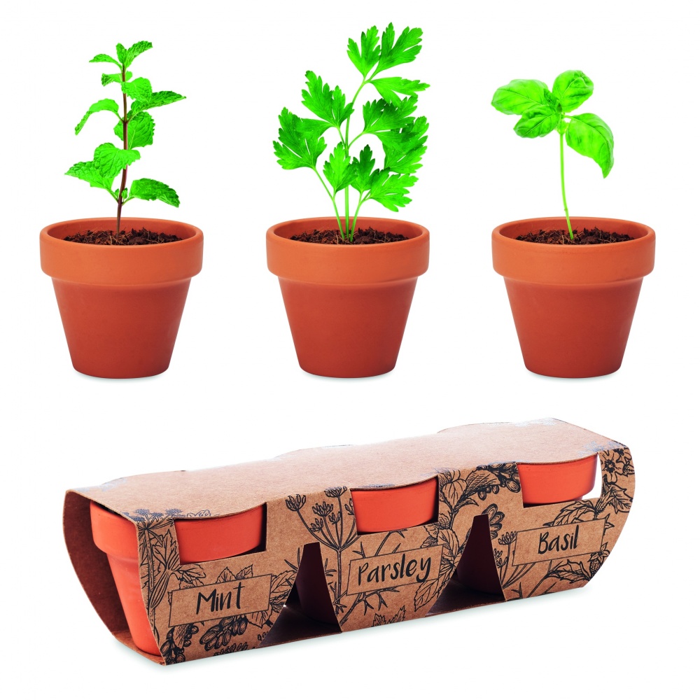 Logo trade corporate gifts image of: Terracotta 3 herb pot set