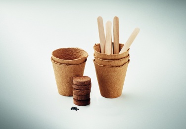 Logotrade promotional gift picture of: Flowers growing kit