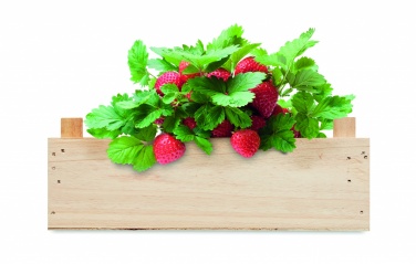 Logo trade promotional items image of: Strawberry kit in wooden crate
