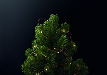 Logotrade corporate gift picture of: LED fairy lights string 5m