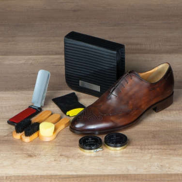 Logotrade promotional giveaway image of: Shoe polish set CANNES