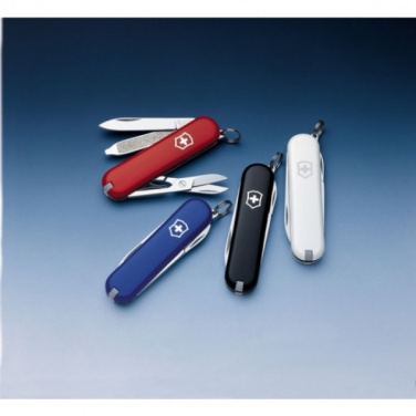 Logotrade promotional giveaways photo of: Pocket knife Rambler Victorinox