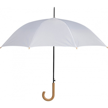 Logotrade promotional items photo of: Automatic umbrella STOCKPORT