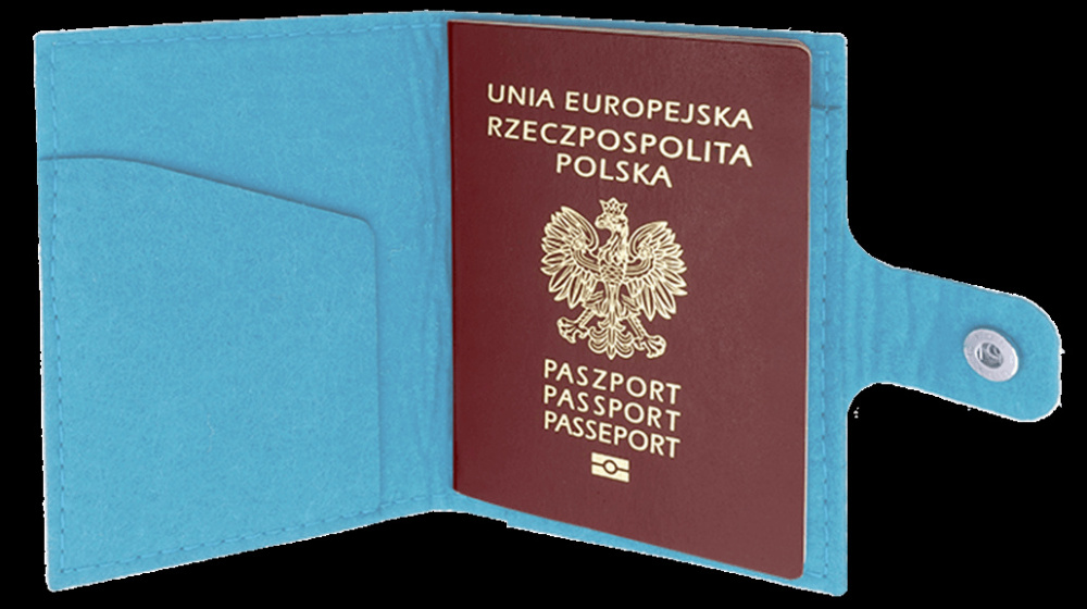 Logotrade promotional merchandise picture of: Passport case 84106200