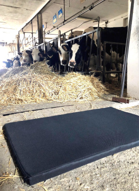 Logotrade promotional merchandise picture of: Disinfection mat 60x50x3cm 1373087