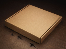Box (20.5x20.5x3.2cm) 1875307