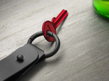 Logo trade promotional products image of: Keyring 1709094