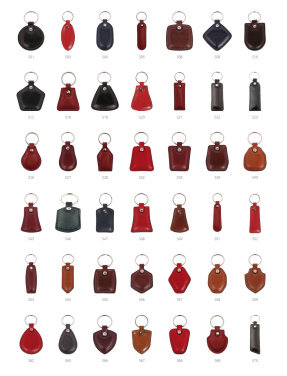 Logo trade promotional giveaways picture of: Keyring 178011