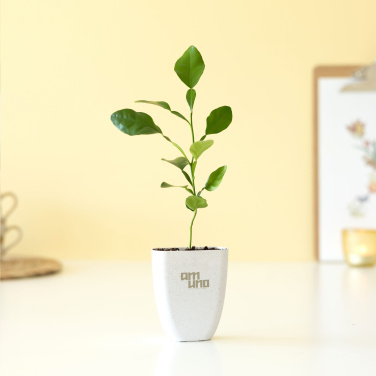 Logo trade promotional products image of: Treemore Letterbox Trees Kaffir Lemon